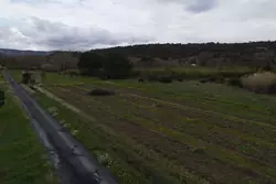 Vente terrain agricole Estagel  