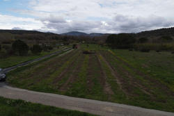 Vente terrain agricole Estagel  