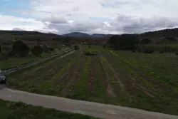 Vente terrain agricole Estagel  