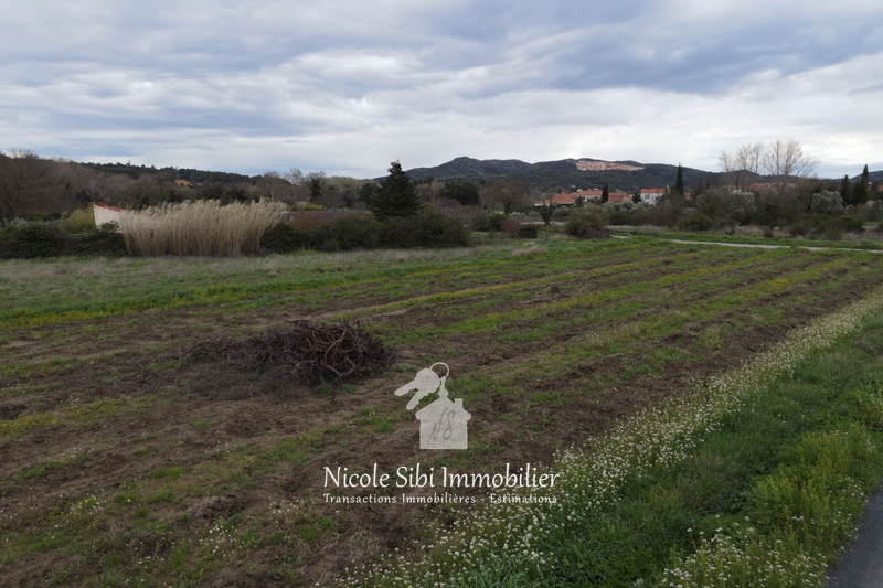 Vente terrain agricole Estagel  