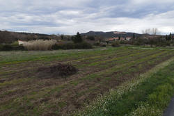 Vente terrain agricole Estagel  