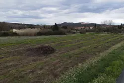 Vente terrain agricole Estagel  