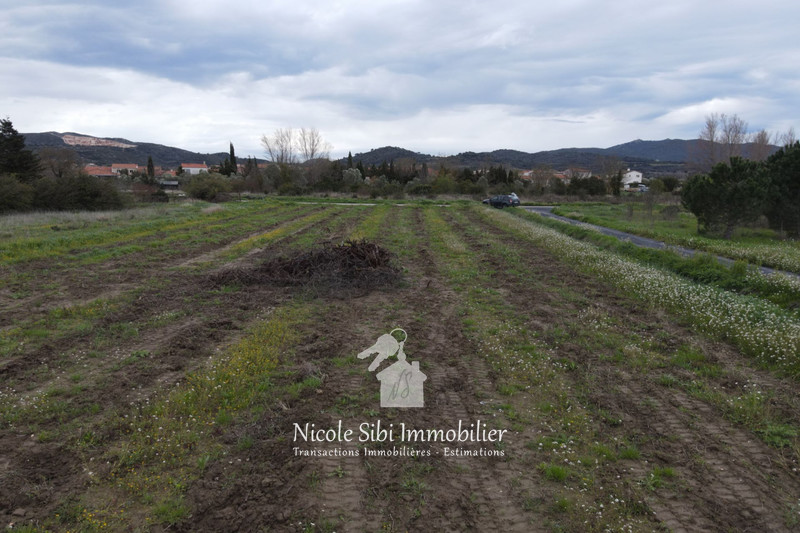 Vente terrain agricole Estagel  