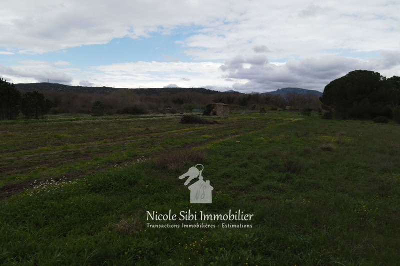Vente terrain agricole Estagel  