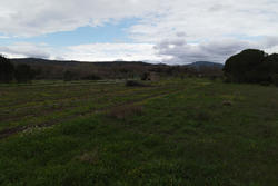 Vente terrain agricole Estagel  