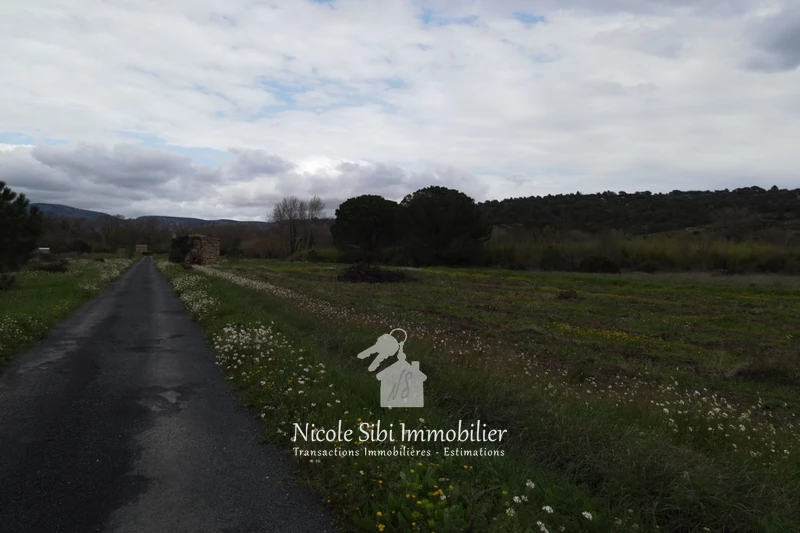 Vente terrain agricole Estagel  