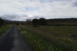 Vente terrain agricole Estagel  