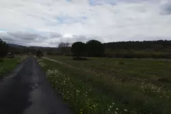 Vente terrain agricole Estagel  