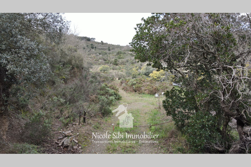 Vente terrain Estagel  