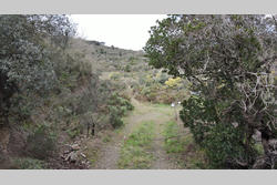 Vente terrain Estagel  