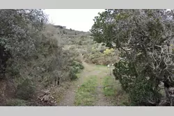 Vente terrain Estagel  