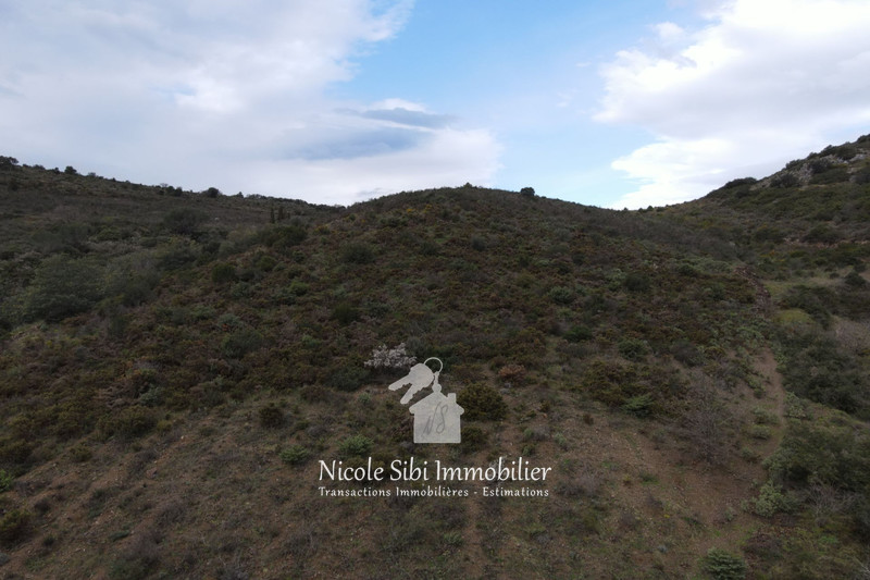 Vente terrain Estagel  