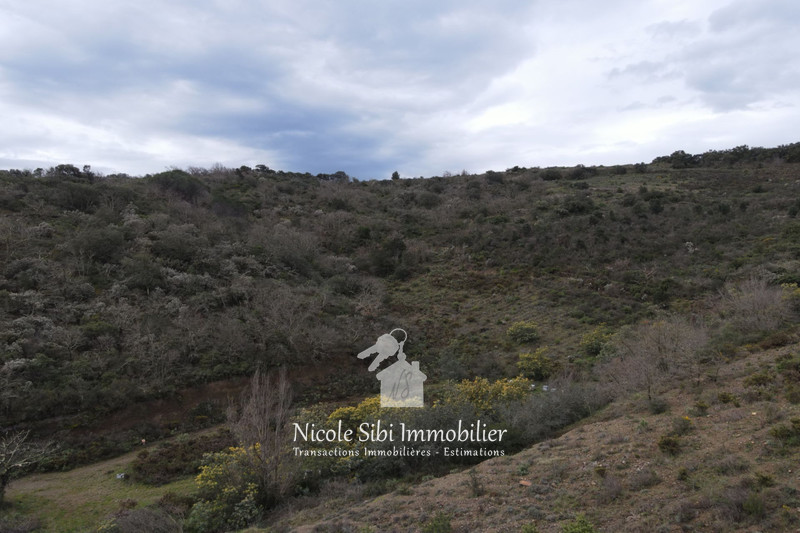 Vente terrain Estagel  