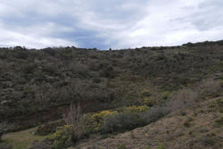 Vente terrain Estagel  
