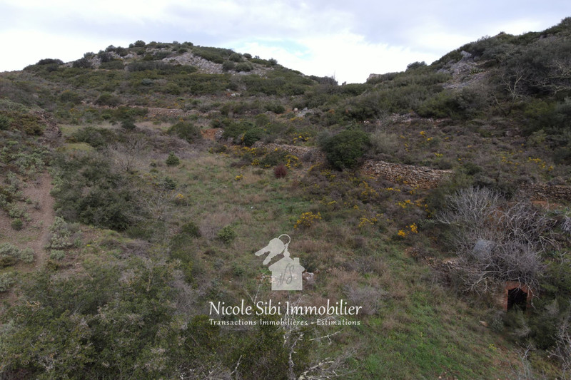 Vente terrain Estagel  