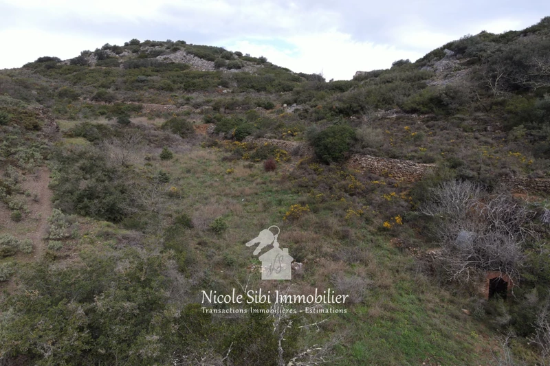 Vente terrain Estagel  