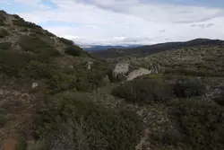 Vente terrain Estagel  