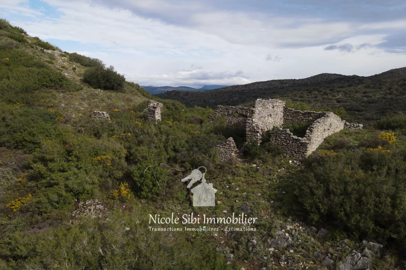 Vente terrain Estagel  