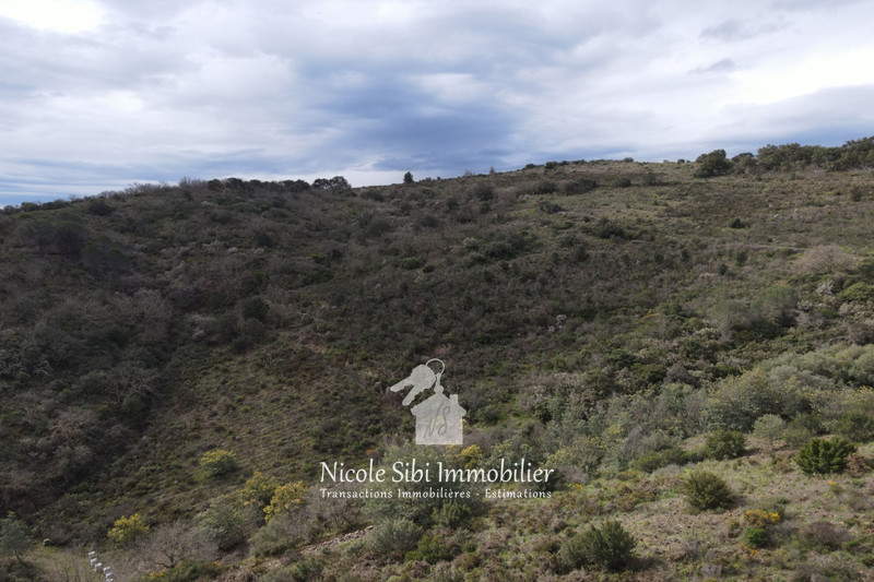 Vente terrain Estagel  
