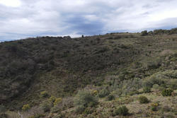 Vente terrain Estagel  