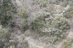 Vente terrain Estagel  