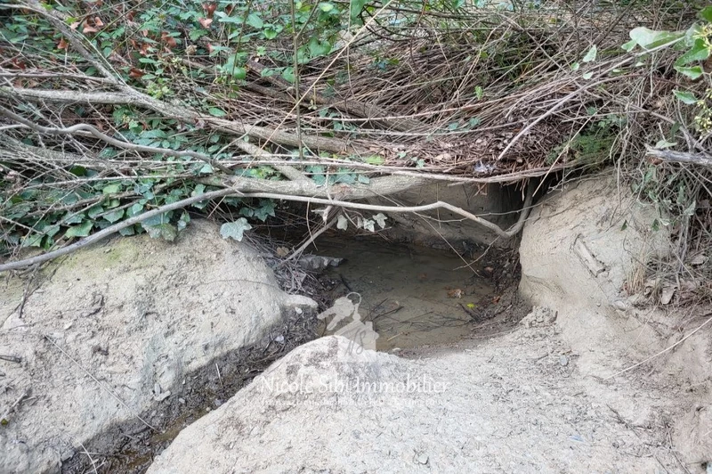 Vente terrain Estagel  