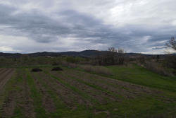 Vente terrain agricole Estagel  