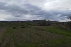 Vente terrain agricole Estagel  