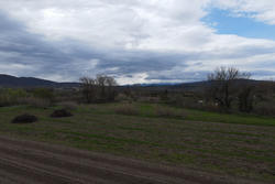 Vente terrain agricole Estagel  