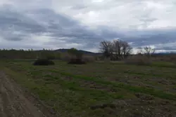 Vente terrain agricole Estagel  