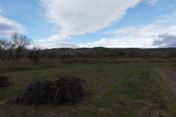 Vente terrain agricole Estagel  
