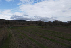 Vente terrain agricole Estagel  