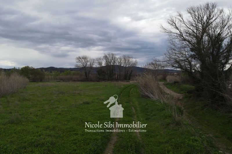 Vente terrain agricole Estagel  