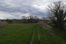 Vente terrain agricole Estagel  