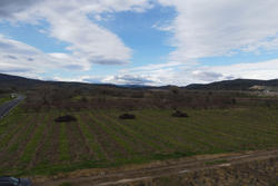 Vente terrain agricole Estagel  
