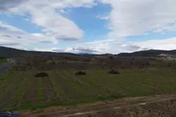 Vente terrain agricole Estagel  
