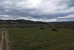 Vente terrain agricole Estagel  