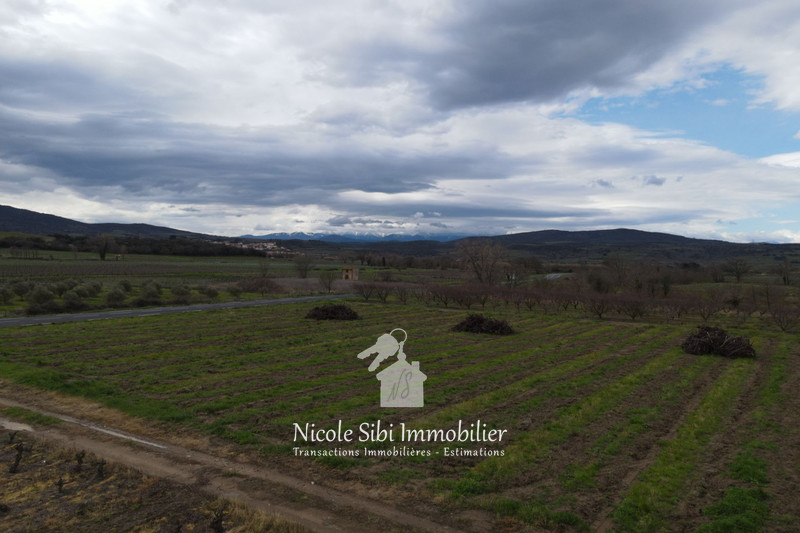 Vente terrain agricole Estagel  