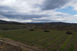 Vente terrain agricole Estagel  