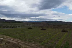 Vente terrain agricole Estagel  