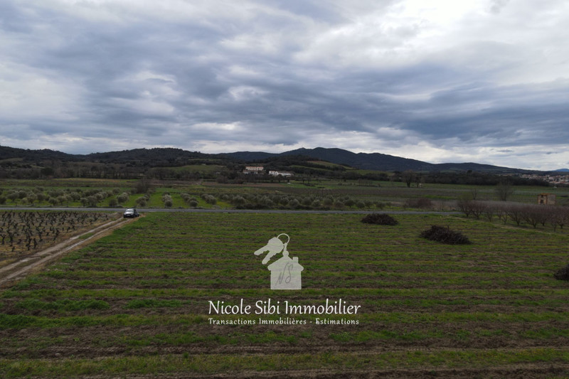 Vente terrain agricole Estagel  