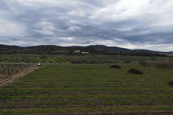 Vente terrain agricole Estagel  