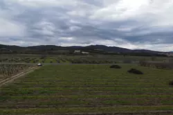 Vente terrain agricole Estagel  