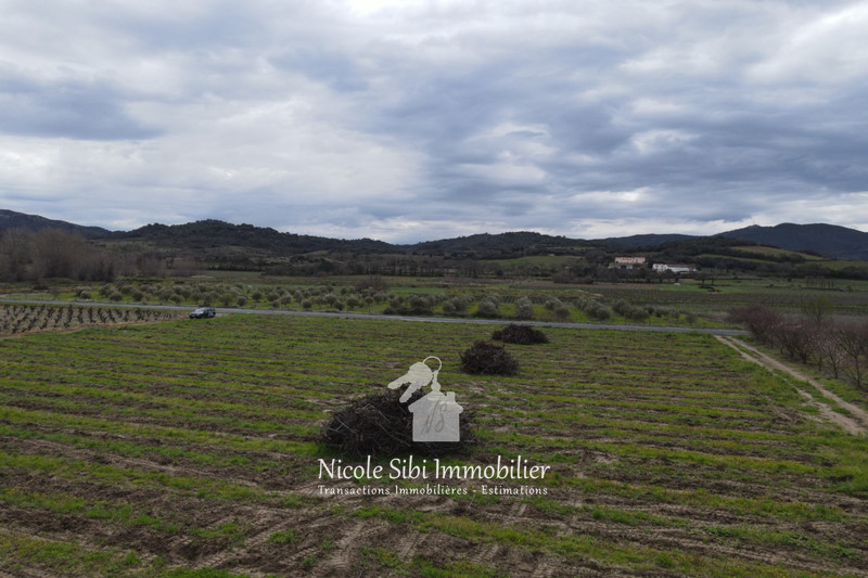 Vente terrain agricole Estagel  