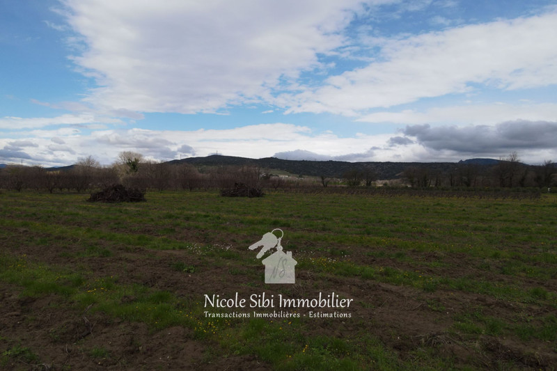 Vente terrain agricole Estagel  