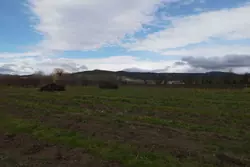 Vente terrain agricole Estagel  