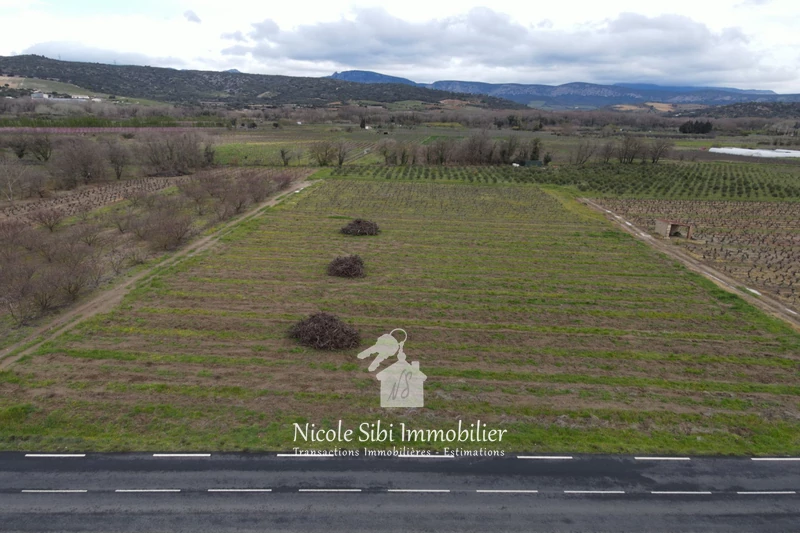 Vente terrain agricole Estagel  
