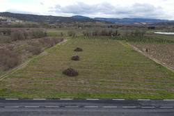 Vente terrain agricole Estagel  