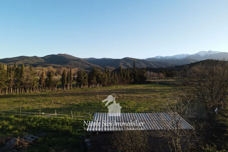 Vente terrain agricole Rodès  