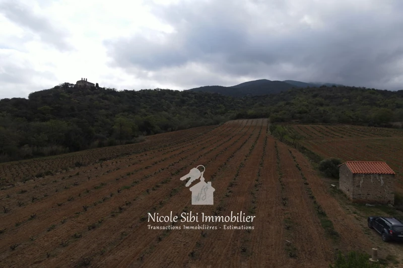 Vente terrain agricole Rodès  
